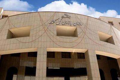  سازمان بازرسی به گرانی خودرو ورود کرد