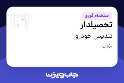  استخدام تحصیلدار - آقا در تندیس خودرو