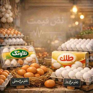  قیمت تخم مرغ امروز پنجشنبه ۷ خرداد ۱۴۰۵؛ کیلویی ۲۲۰ هزار تومان / زیان ۸۰ هزار تومانی در هر کیلو؛ آیا جمعه بازار منفجر می‌شود؟