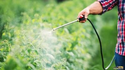  آفتکش‌های ممنوعه، قاچاق، تقلبی و تاریخ گذشته توقیف می شوند