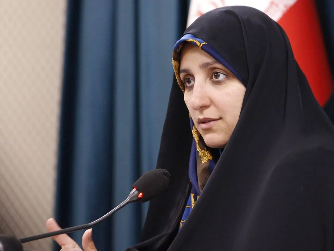 دولت دسترسی به اینترنت را از حقوق اساسی مردم می‌داند
